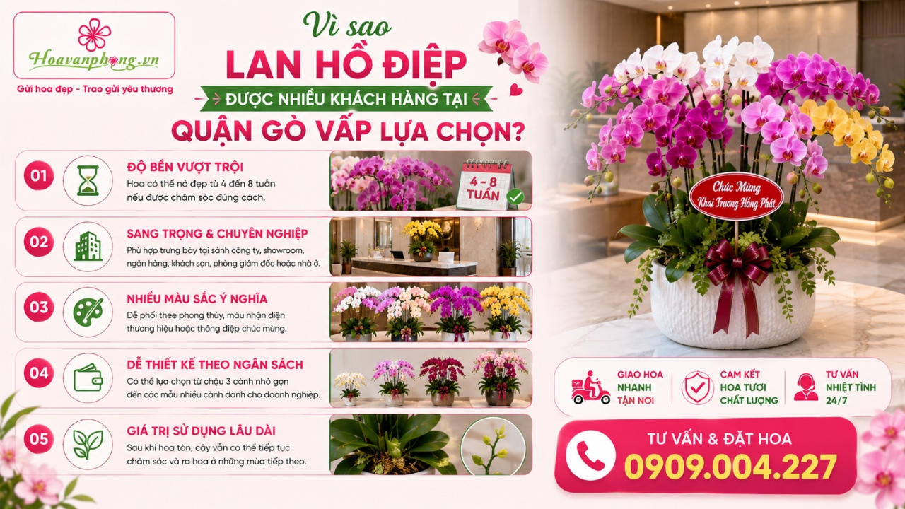 Shop hoa lan hồ điệp quận Gò Vấp uy tín - Hoa Văn Phòng
