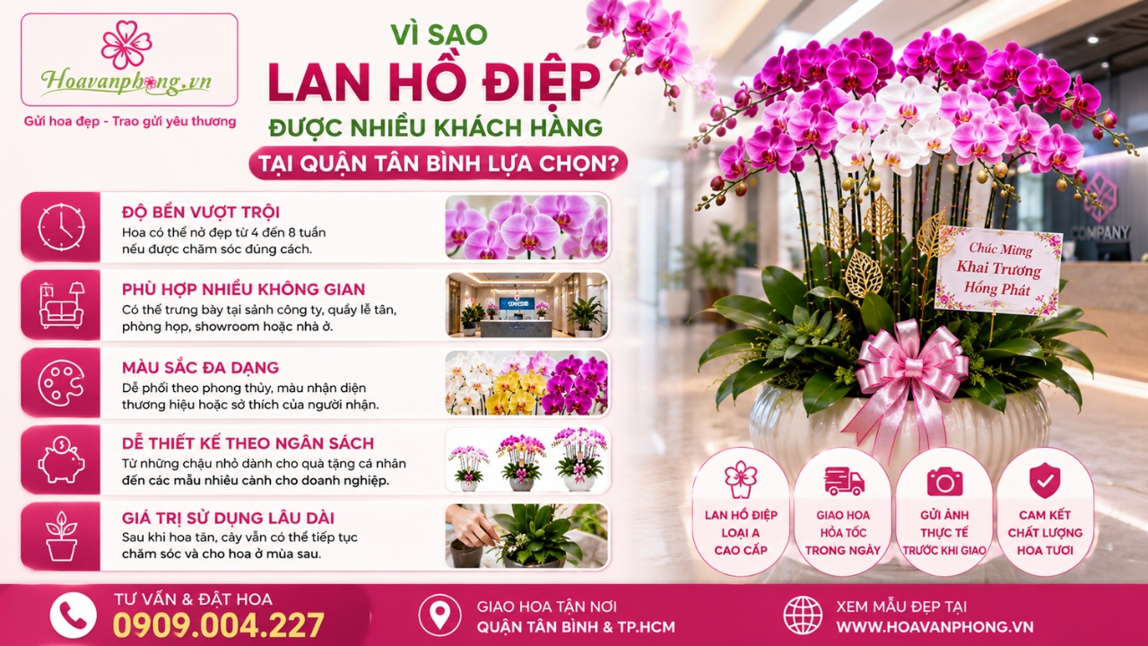 Shop hoa lan hồ điệp quận Tân Bình uy tín - Hoa Văn Phòng