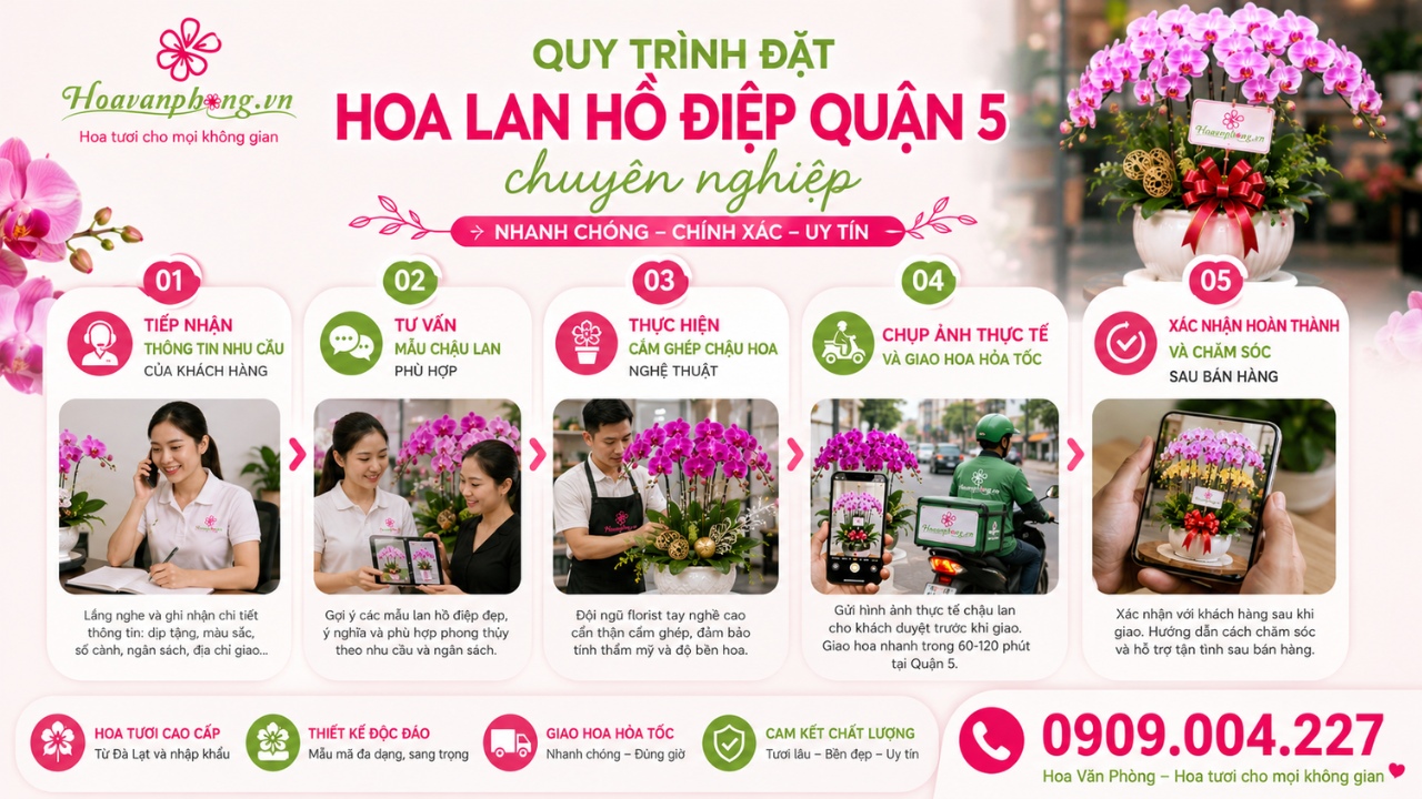 Đăng ký đặt hoa lan hồ điệp tại Hoa Văn Phòng