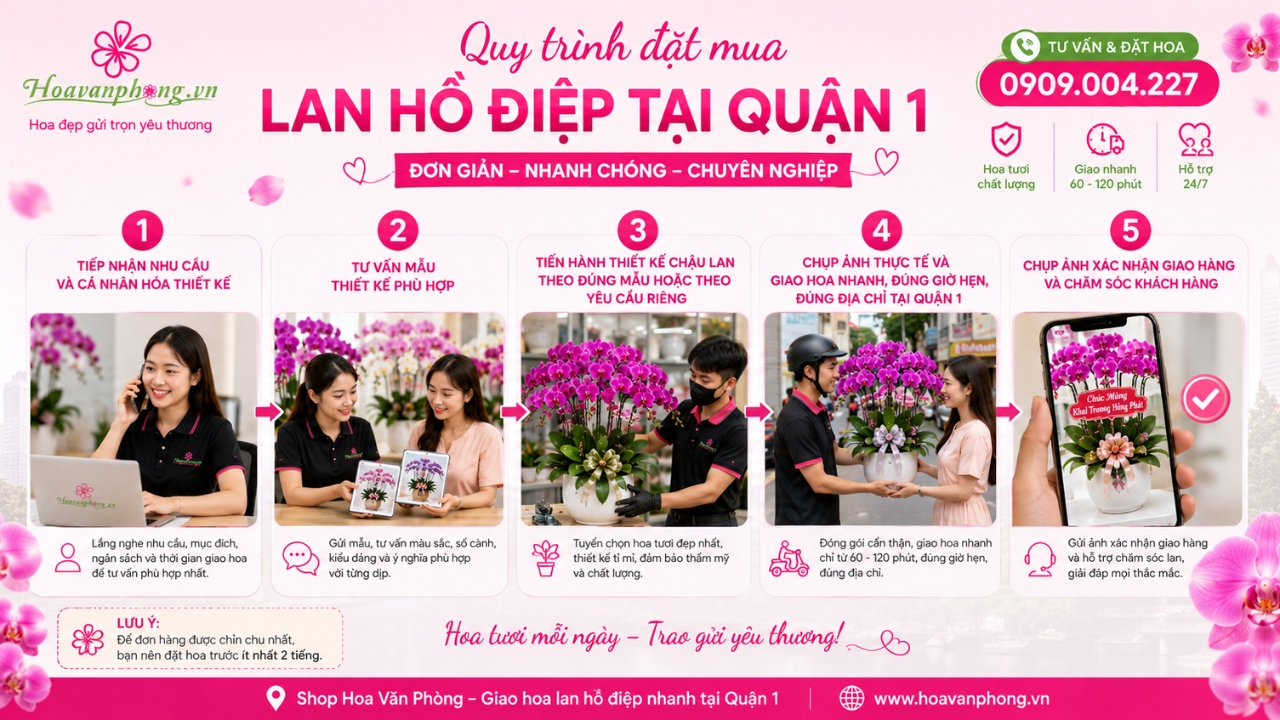 lan hồ điệp quận 1 giá rẻ
