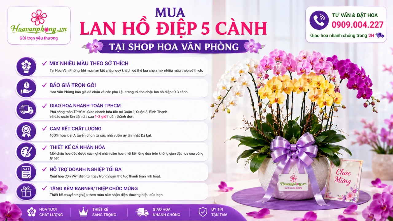 Shop Hoa Lan Hồ Điệp TP.HCM