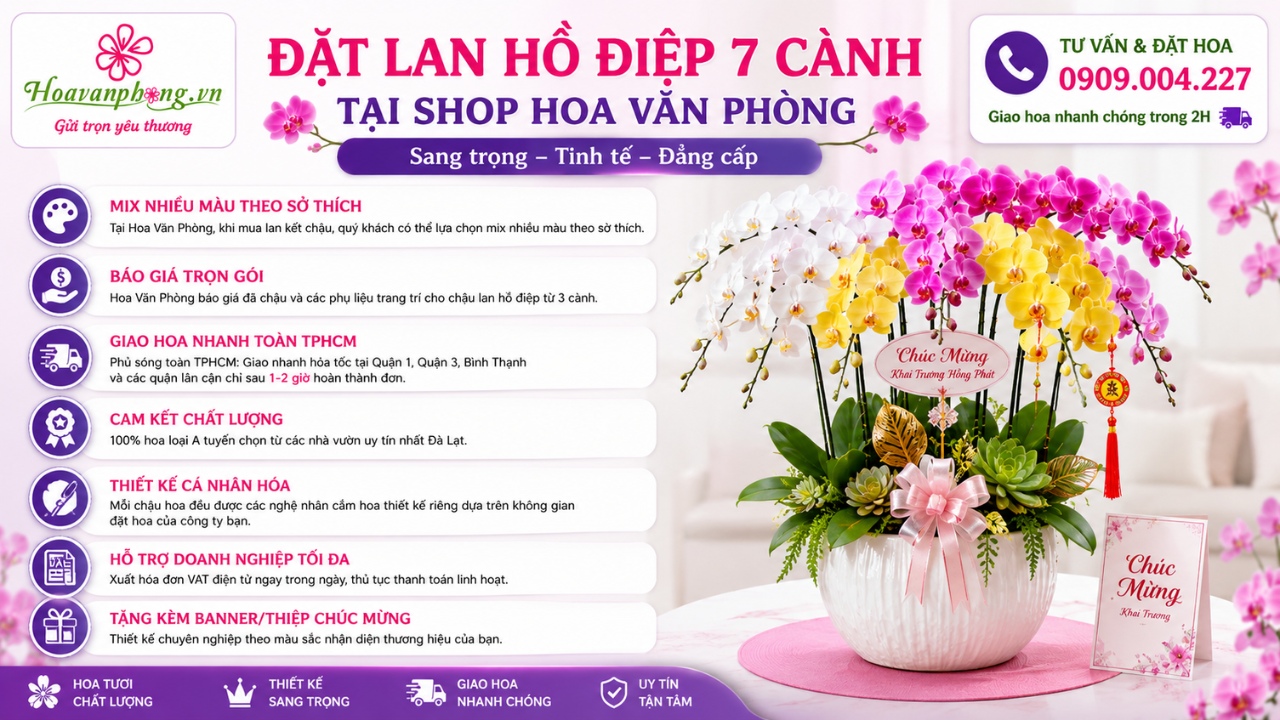 Hoa Văn Phòng là shop Lan Hồ Điệp cao cấp TPHCM