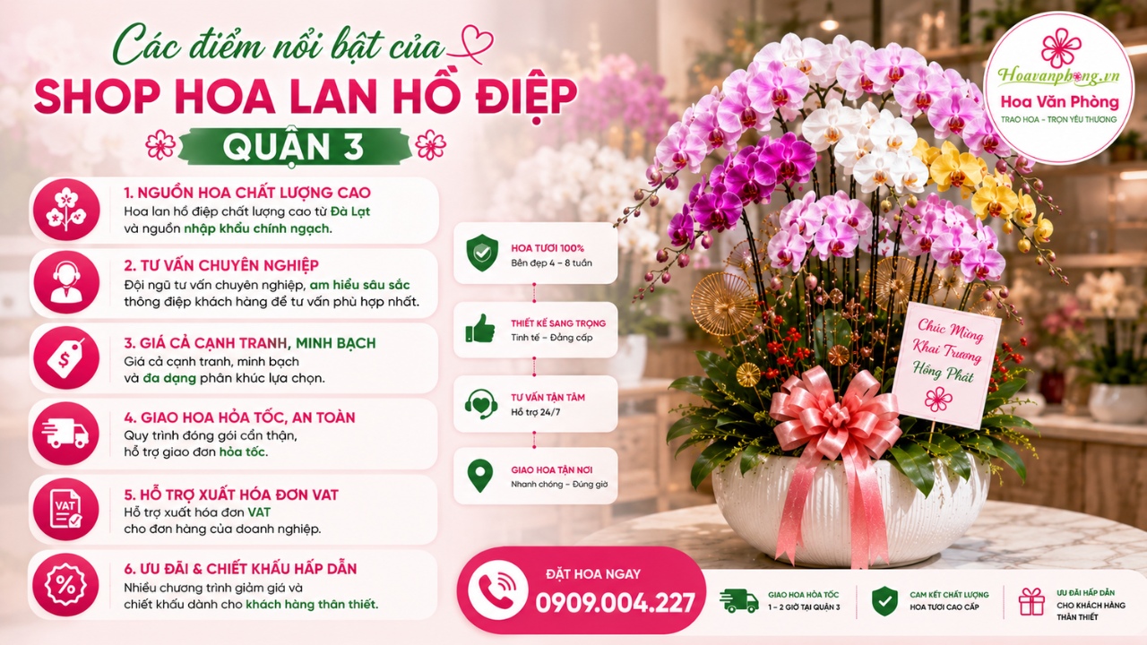 đặt mua lan hồ điệp onl