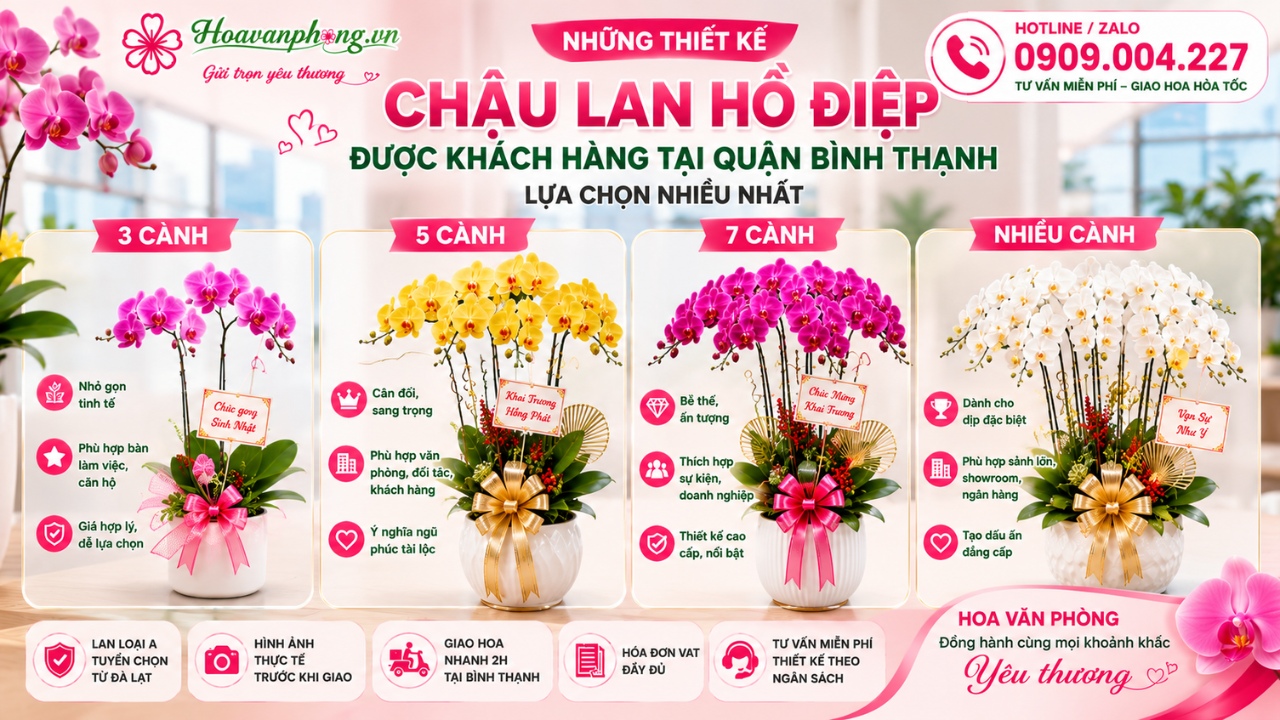 Những chậu lan hồ điệp đẹp ở quận Bình Thạnh được thiết kế theo yêu cầu tại Hoa Văn Phòng.